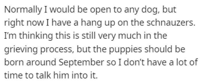 OP is hung up on getting a schnauzer