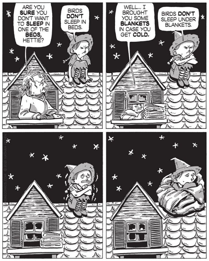 11. Birds don't sleep under blankets