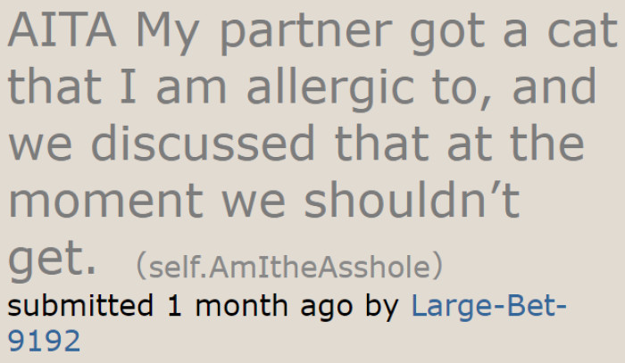 The OP Already Told His Girlfriend That He Doesn't Want Cats.