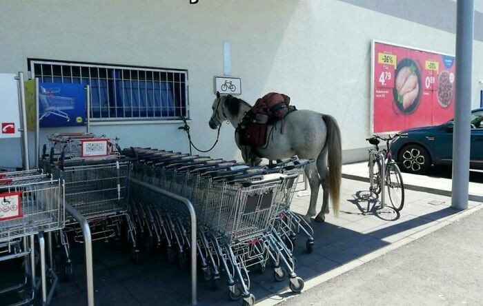 Lidl, Bratislava, Slovakia