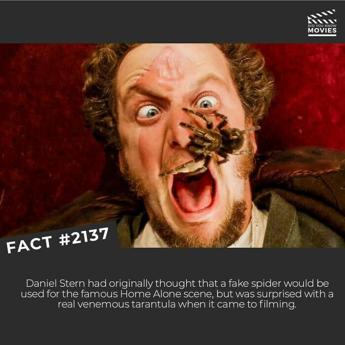 28. Real fear