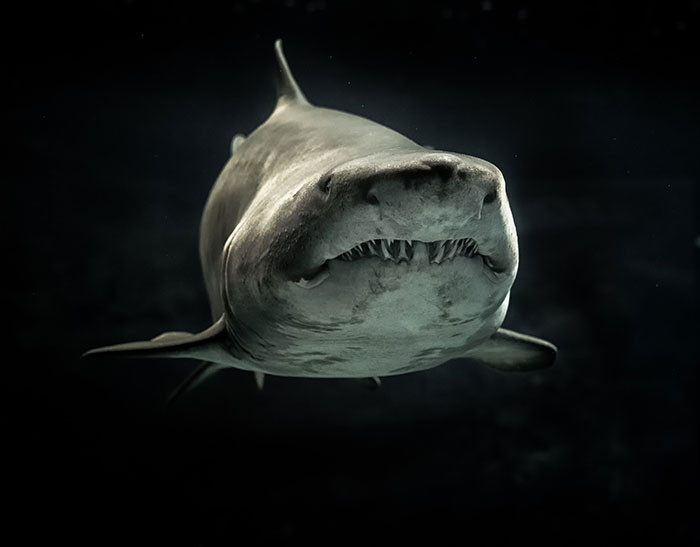 Wow, this is really interesting.