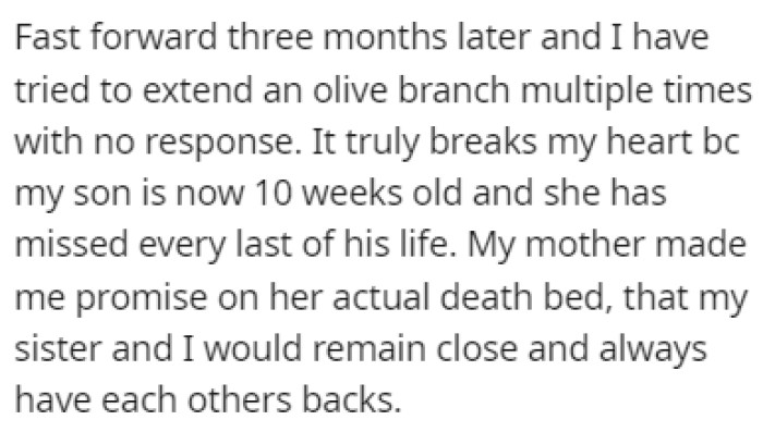 The sister's husband blamed OP for everything, and the sister hasn't contacted OP in months