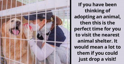 4 Things You Can Do On World Animal Day Every October