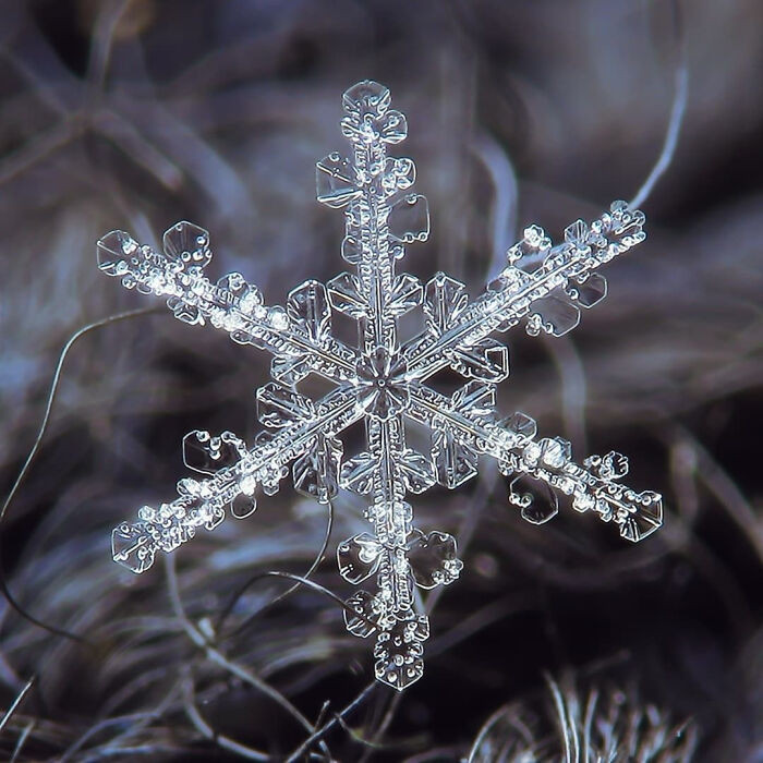 Giant 15-inch snowflake recorded in Montana in 1887.