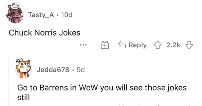 10. Chuck Norris jokes