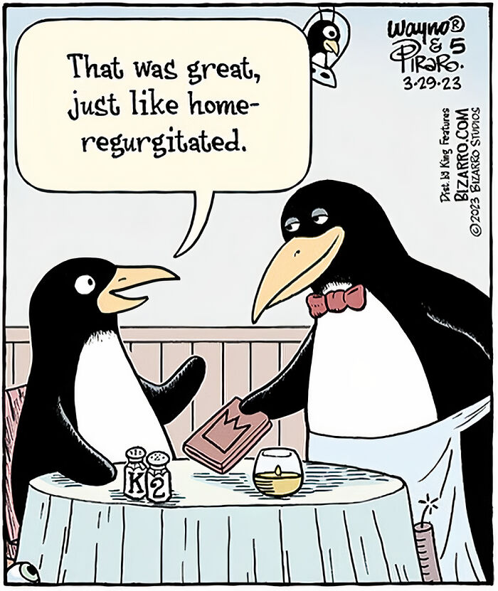 3. Home-regurgitated