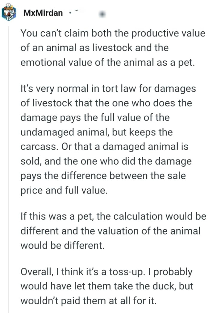 This Redditor just had to explain in details