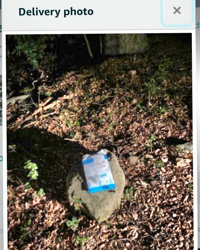 "Amazon Delivered My Package To A Rock Instead Of My House. My House Is In The Middle Of An Oak Forest And I Have No Idea Which Rock This Is"