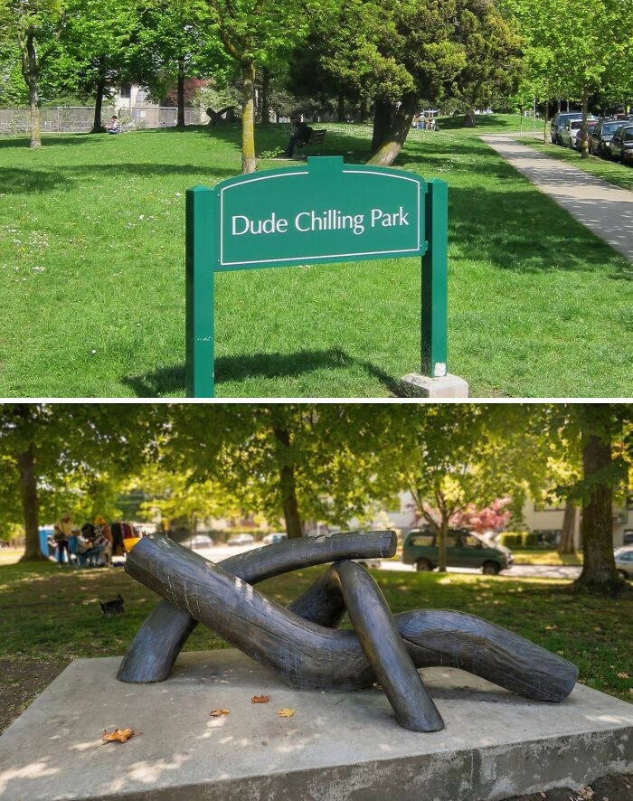 Dude Chilling Park