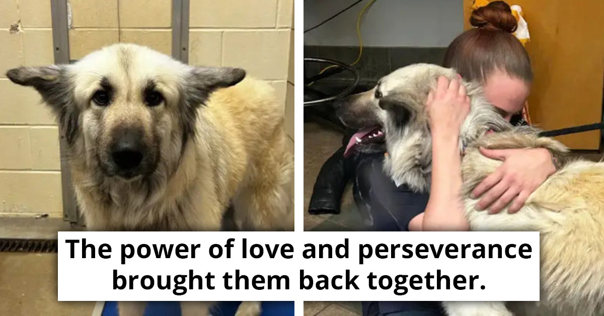 Owner Reunites With Dog She Had To Abandon Because She Was Homeless