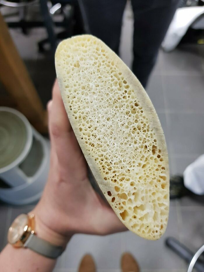 32. A cross-section of a whale rib, when described in the third person, would be phrased as 'The cross-section of a whale rib.'