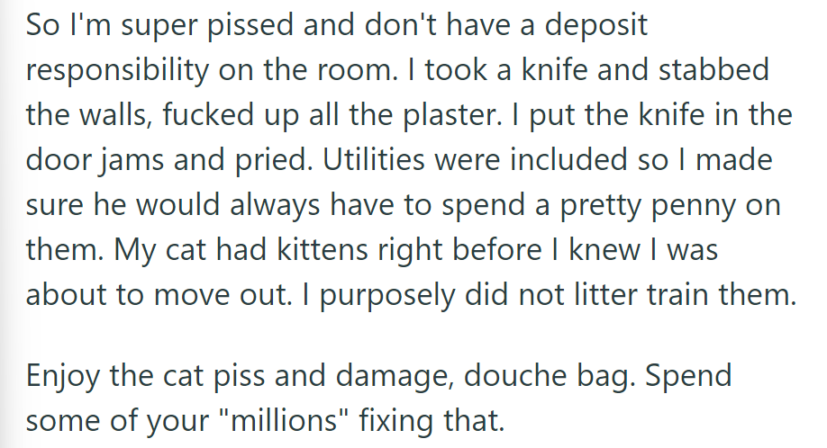 Enraged and Deposit-Free, He Damaged Walls, Sabotaged Utilities, and Left Untrained Kittens for Their Landlord to Deal With.