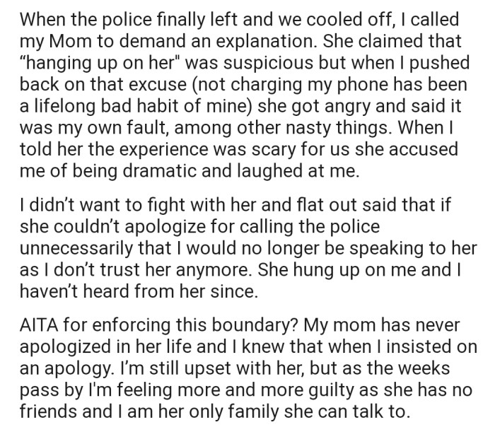 When the police finally left, OP called their mom to demand an explanation for what just happened. This snowballed into a heated argument that has now strained their once lovely relationship.