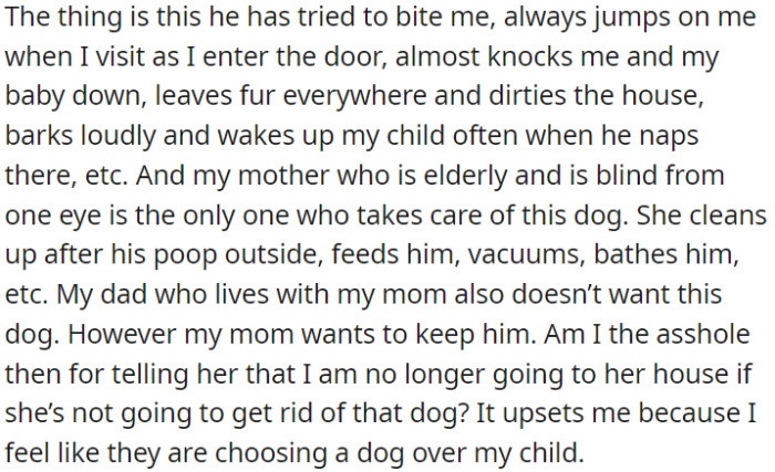 The dog's aggression disrupts OP's visits with her baby and demands a lot of care. Consequently, OP is considering not visiting her mom if the dog remains.