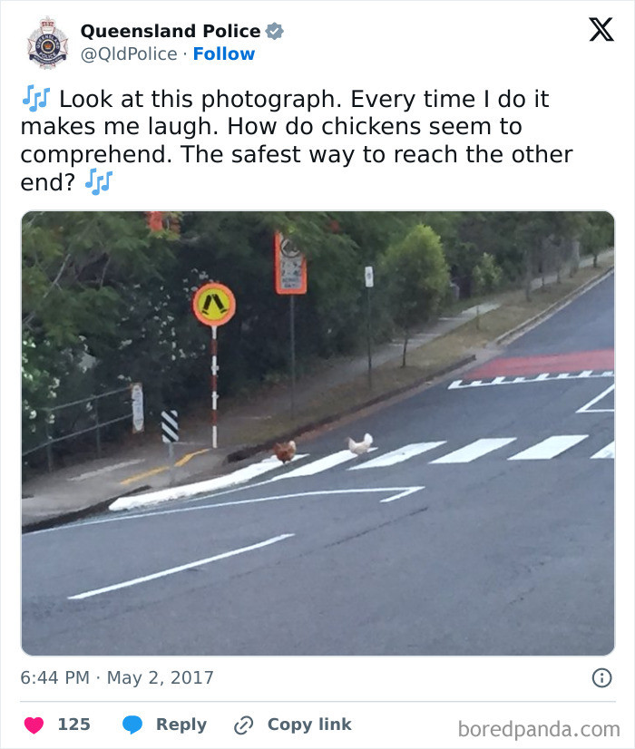 "But Why Did They Do It?"