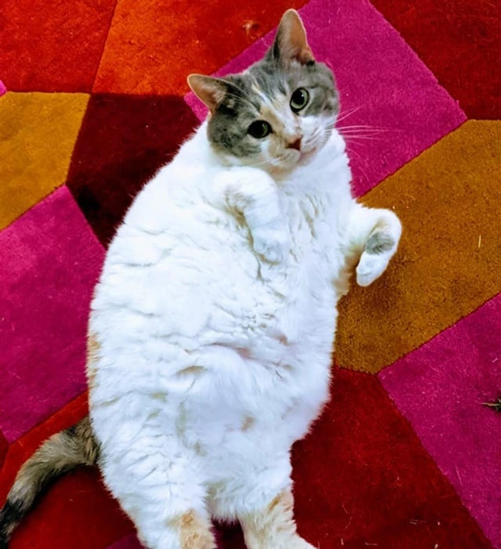 1. A Professor Who Doesn’t Have Time to Clean Her Home