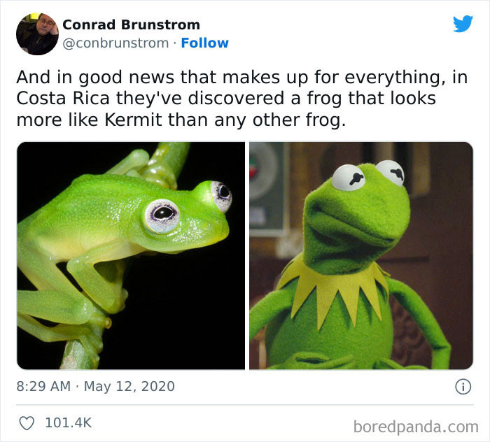 40. Kermit, the Frog