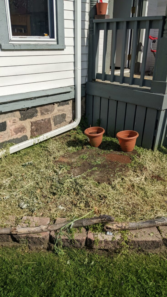 6. Landlord mowed my garden