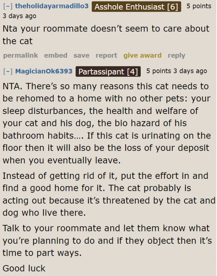 Most Redditors feel that it's better to rehome the cat because the owner doesn't care about it.