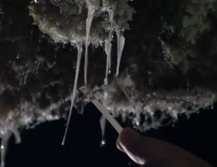 Bioluminescent cave interior with glowing formations in the toxic Cueva de Villa Luz