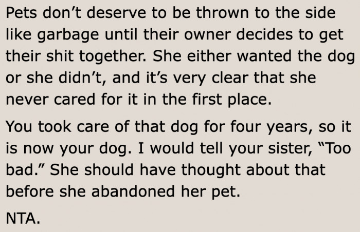 A responsible dog owner will see through the needs of their dogs no matter what the circumstances are.