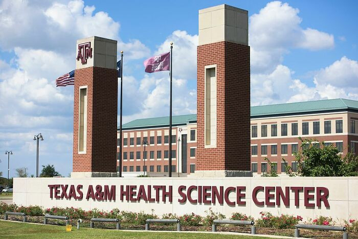 24. Texas A&M