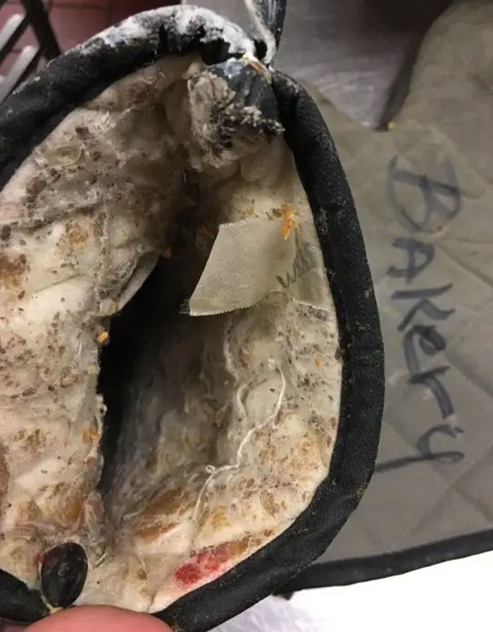 "Coworkers Not Cleaning Their Hands Before Using The Oven Mitts"