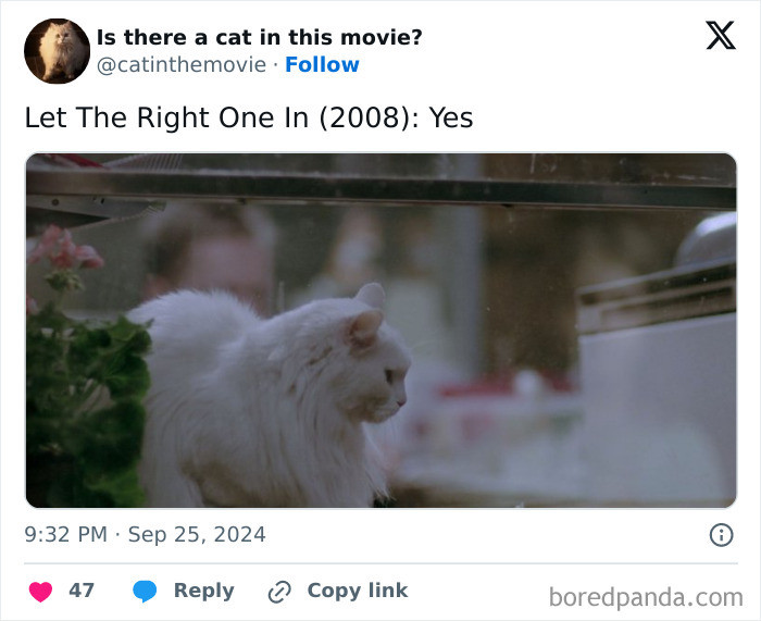 Let The Right One In