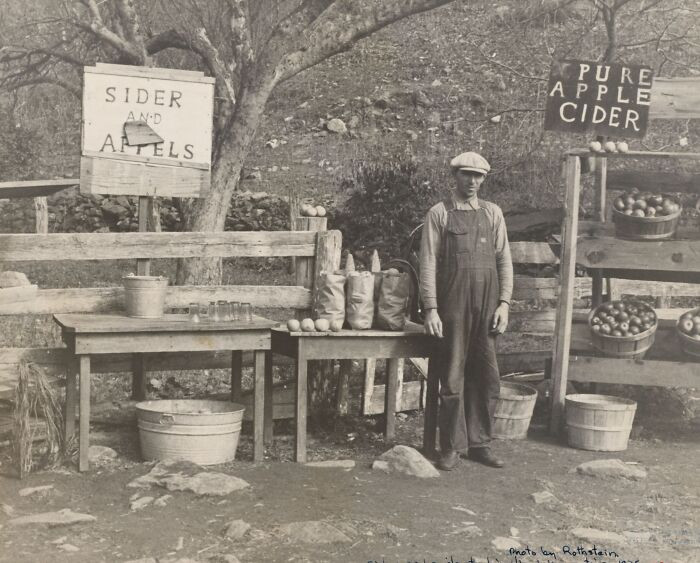 A Cider And Apple Stand On The Lee Highway, Shenandoah National Park, Virginia, 1935