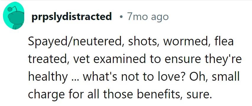 Who knew health came with a price tag? It's the purr-chase of a lifetime!