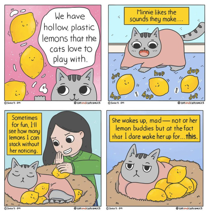 13. Lemon buddies