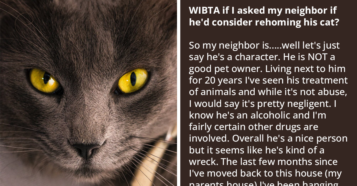 Redditor Is Thinking About Adopting Neighbor’s Seriously Neglected Cat But Is Afraid It Might Be Rude To Ask