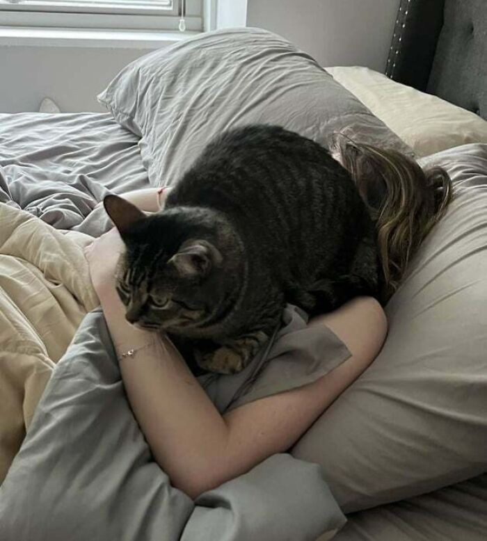 "6:04 AM, My Wife Didn’t Wake Up To Feed Her. We’ve Had An Automatic Feeder For 6 Months Now"