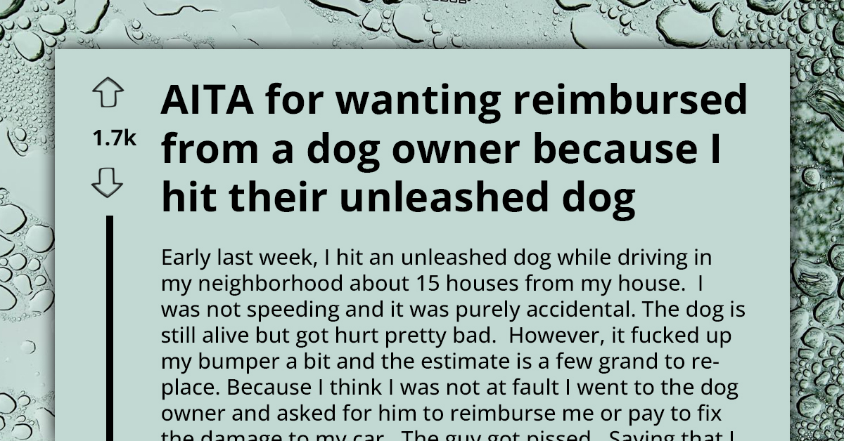 Driver Hits Unleashed Dog, Demands Dog Owner Pays For Car Repairs