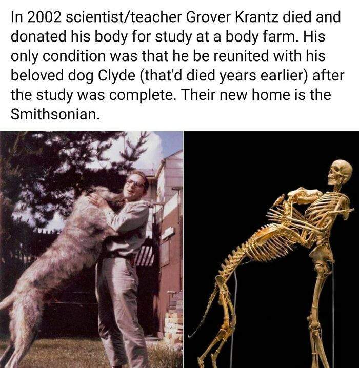 28. Their new home is the Smithsonian