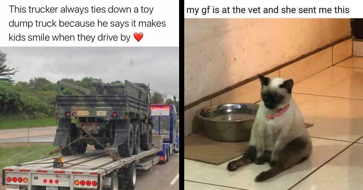 Turn A Gloomy Day Around With This Collection Of 50 Joyful Blessed Images—Smiles Guaranteed