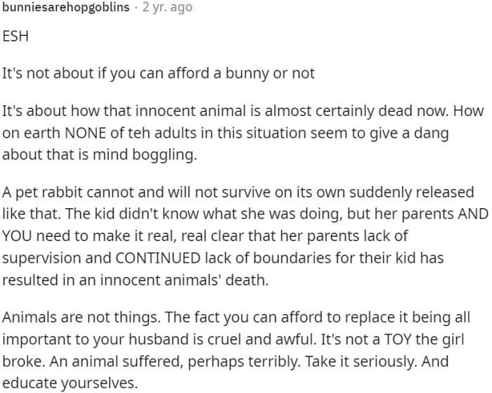 The well-being and life of an innocent animal are of utmost importance, and it is crucial for all adults involved to take responsibility for their actions and ensure proper supervision and boundaries for children around pets.