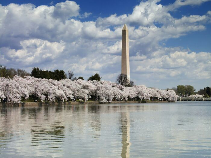 Why the Washington Monument Looks So Simple