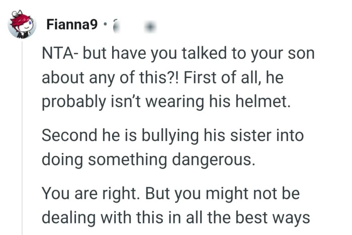 OP's son is obviously bullying his sister