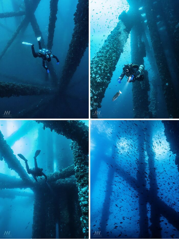 "Some Pics From The Southern California Oil Rigs. These Are Platforms, Eureka And Ely, In Long Beach, California"