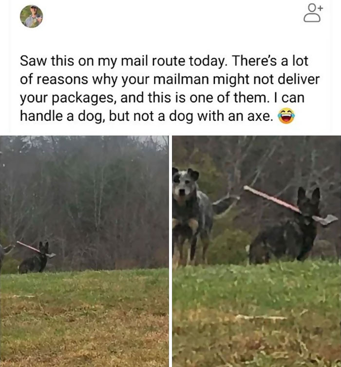 2. OP can surely relate.