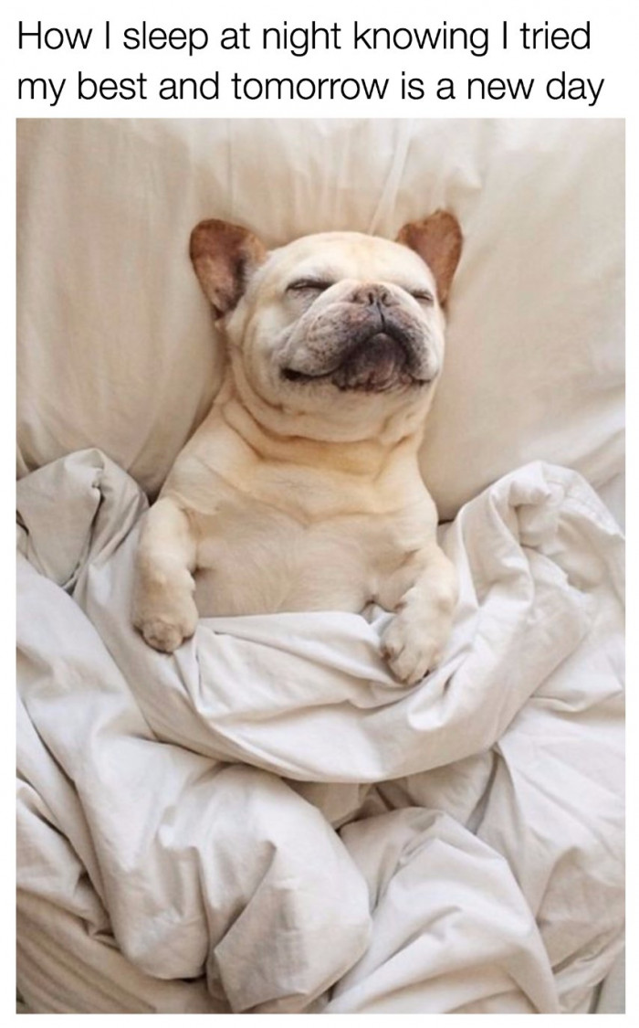 4. Doin' a heckin' relatable