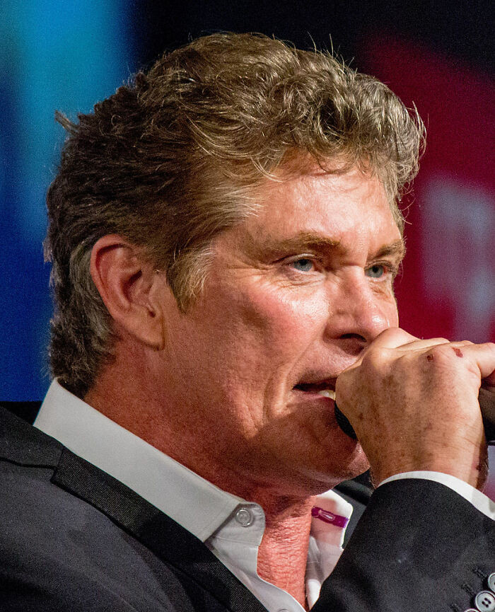 25. David Hasselhoff