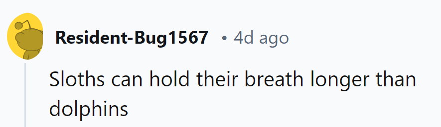 Sloths: proving slow and steady wins the underwater breath-holding race.