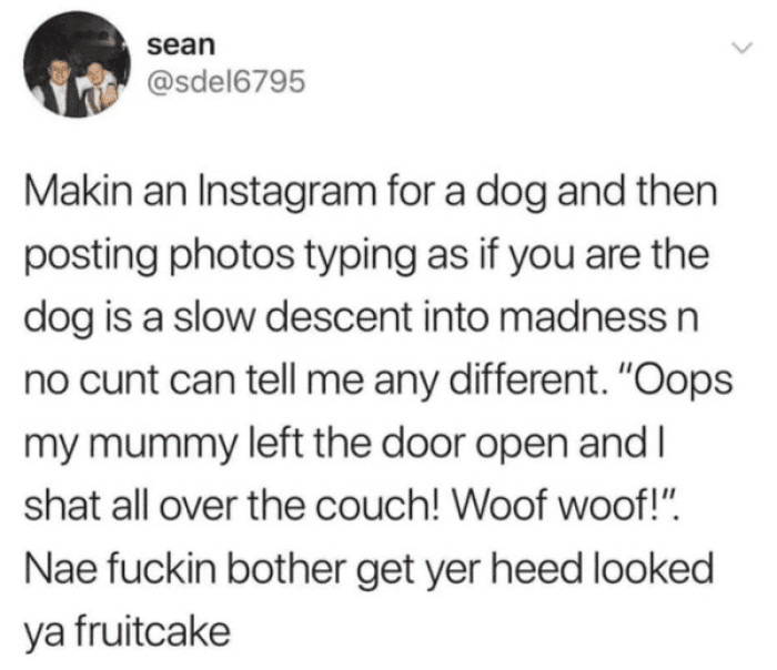 17. Instagram for a dog