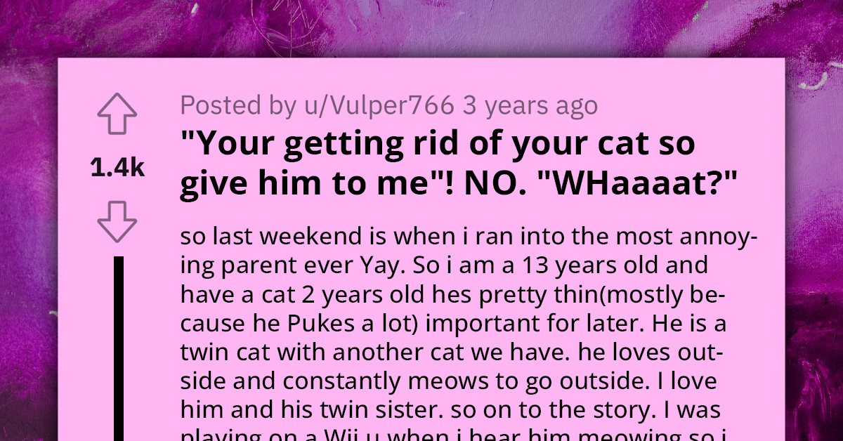 Crazy Entitled Mom's Bold Cat-Napping Attempt Leaves Teen Redditor Speechless