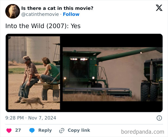 Into the Wild
