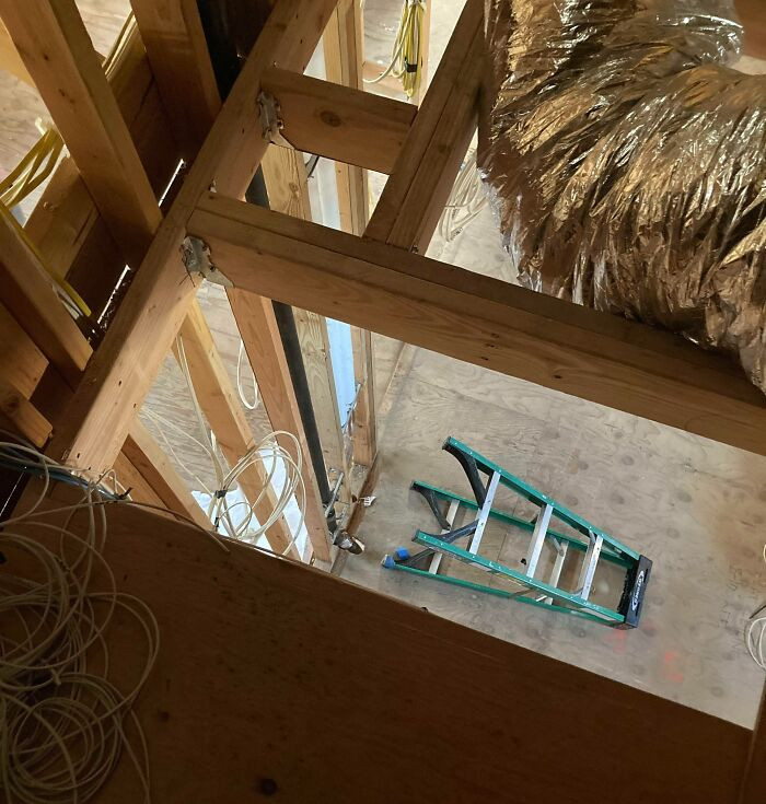 15. Consistently, my colleague Ned topples my ladder intentionally.