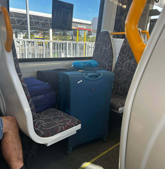 "Both Of The Owners Of These Bags Are Sitting In Their Own Seat, Enjoying All The Space They Have"